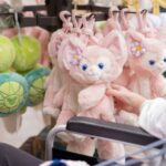 小児がん 小児がん支援 家族旅行 子ども スマイルスマイルプロジェクト ジャパンハート　ディズニーランド ディズニーシー　