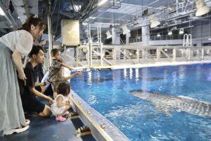 小児がんの子どもの旅行の付き添い