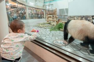 小児がんの子どもの旅行の付き添い