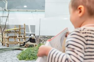 小児がんの子どもの旅行の付き添い
