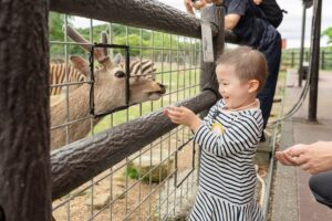 小児がんの子どもの旅行の付き添い
