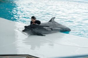小児がんの子どもの旅行の付き添い