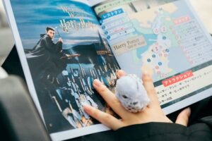 小児がん 小児がん支援 家族旅行 子ども スマイルスマイルプロジェクト ジャパンハート　ユニバーサルスタジオ ハリーポッター