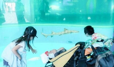 小児がんの子どもの旅行の付き添い