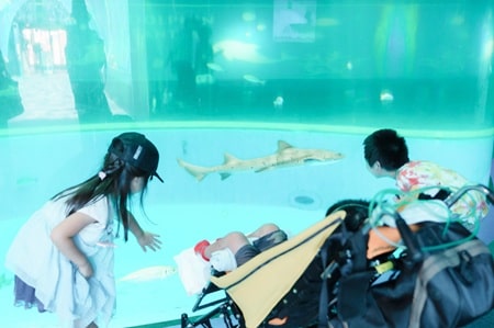 小児がんの子どもの旅行の付き添い