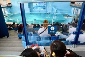 小児がんの子どもの旅行の付き添い