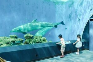 小児がんの子どもの旅行の付き添い