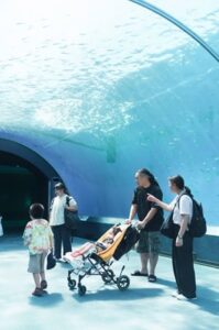 小児がんの子どもの旅行の付き添い