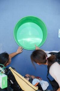 小児がんの子どもの旅行の付き添い