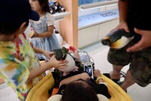 小児がんの子どもの旅行の付き添い