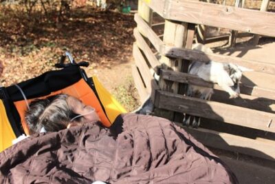 小児がんの子どもの旅行の付き添い