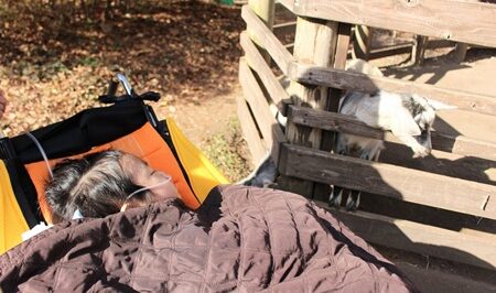 小児がんの子どもの旅行の付き添い