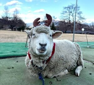 小児がんの子どもの旅行の付き添い