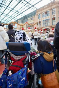 小児がんの子どもの旅行の付き添い