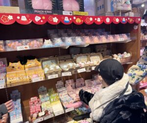 小児がん 小児がん支援 家族旅行 子ども スマイルスマイルプロジェクト ジャパンハート　ディズニーランド