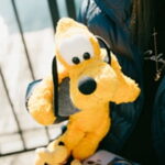 小児がんの子どもの旅行の付き添い