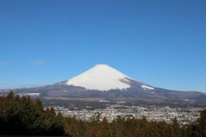 小児がんの子どもの旅行の付き添い