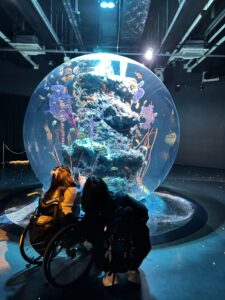 小児がん 小児がん支援 家族旅行 子ども スマイルスマイルプロジェクト ジャパンハート 神戸 温泉旅行　水族館