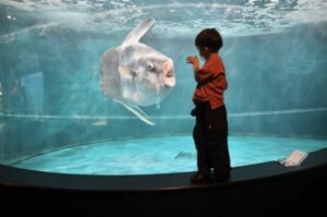 小児がん 小児がん支援 家族旅行 子ども スマイルスマイルプロジェクト ジャパンハート 下関旅行 しものせき水族館 秋吉台自然動物公園サファリランド