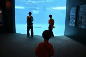 小児がん 小児がん支援 家族旅行 子ども スマイルスマイルプロジェクト ジャパンハート　下関旅行 しものせき水族館　秋吉台自然動物公園サファリランド