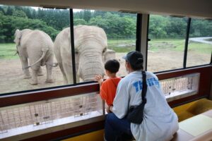 小児がん 小児がん支援 家族旅行 子ども スマイルスマイルプロジェクト ジャパンハート　下関旅行 しものせき水族館　秋吉台自然動物公園サファリランド