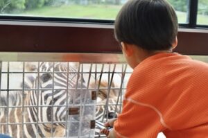 小児がん 小児がん支援 家族旅行 子ども スマイルスマイルプロジェクト ジャパンハート 下関旅行 しものせき水族館 秋吉台自然動物公園サファリランド