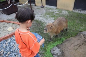 小児がん 小児がん支援 家族旅行 子ども スマイルスマイルプロジェクト ジャパンハート　下関旅行 しものせき水族館　秋吉台自然動物公園サファリランド