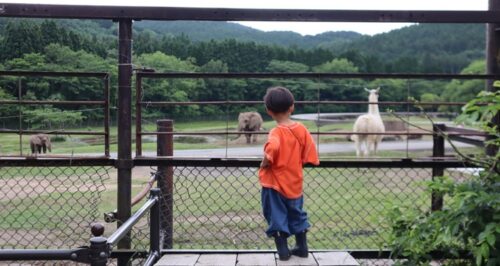 小児がん 小児がん支援 家族旅行 子ども スマイルスマイルプロジェクト ジャパンハート　下関旅行 しものせき水族館　秋吉台自然動物公園サファリランド