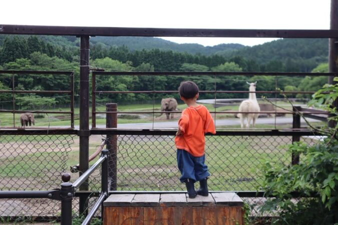 小児がん 小児がん支援 家族旅行 子ども スマイルスマイルプロジェクト ジャパンハート　下関旅行 しものせき水族館　秋吉台自然動物公園サファリランド