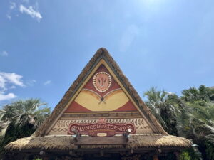TDR