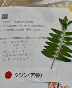 小児がんの子どもの旅行の付き添い小児がんの子どもの旅行の付き添い