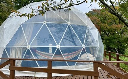 小児がんの子どもの旅行の付き添い小児がんの子どもの旅行の付き添い