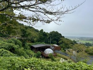 小児がんの子どもの旅行の付き添い小児がんの子どもの旅行の付き添い